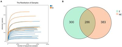 Contrasting Vaginal Bacterial Communities Between Estrus and Non-estrus of <mark class="highlighted">Giant Pandas</mark> (Ailuropoda melanoleuca)